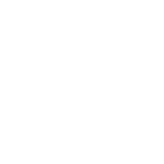 logo Vialto Automobile